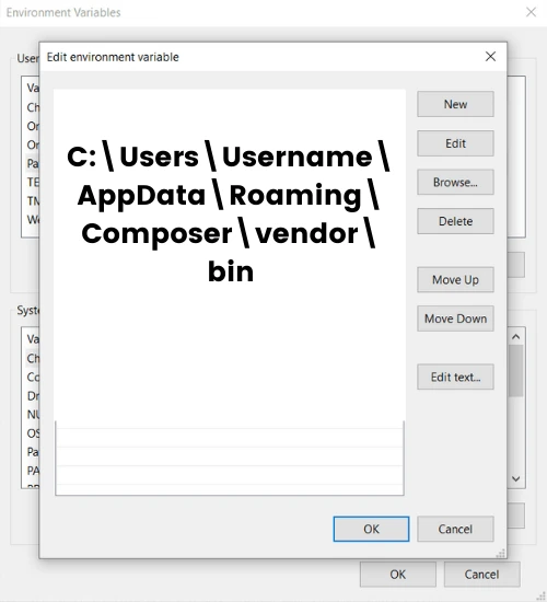 edit-environment-variable